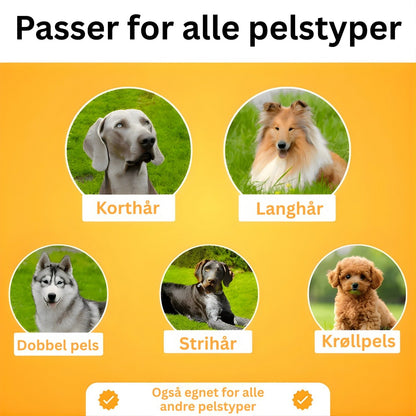Lenhy – Hundebørste